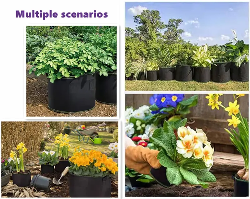 🌱Last Day 50% OFF 🪴Gallon Grow Bags – Heavy Duty Aeration Fabric Pots with Handles for Vegetables, Flowers & Fruits