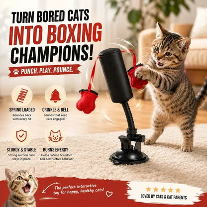 Orodira® Interactive Cat Punching Bag Toy