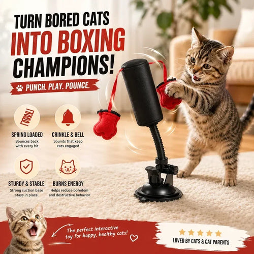 Orodira® Interactive Cat Punching Bag Toy
