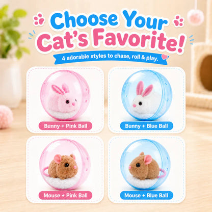 🔥💓LAST DAY 50% OFF ✨Orodira® Self-Rolling Interactive Cat Ball