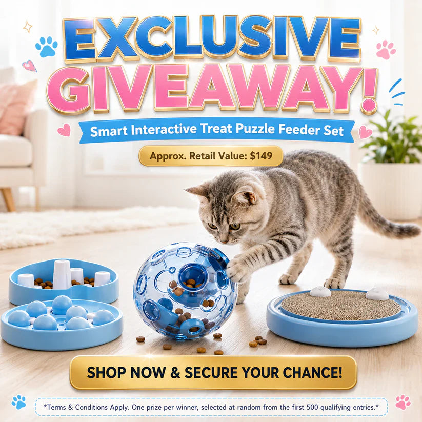 🔥💓LAST DAY 50% OFF ✨Orodira® Self-Rolling Interactive Cat Ball