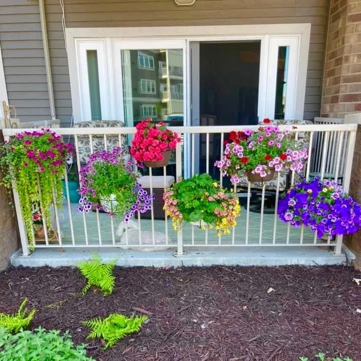 🔥💞LAST DAY 50% OFF ✨Floating Railing Planter - Plant Clip