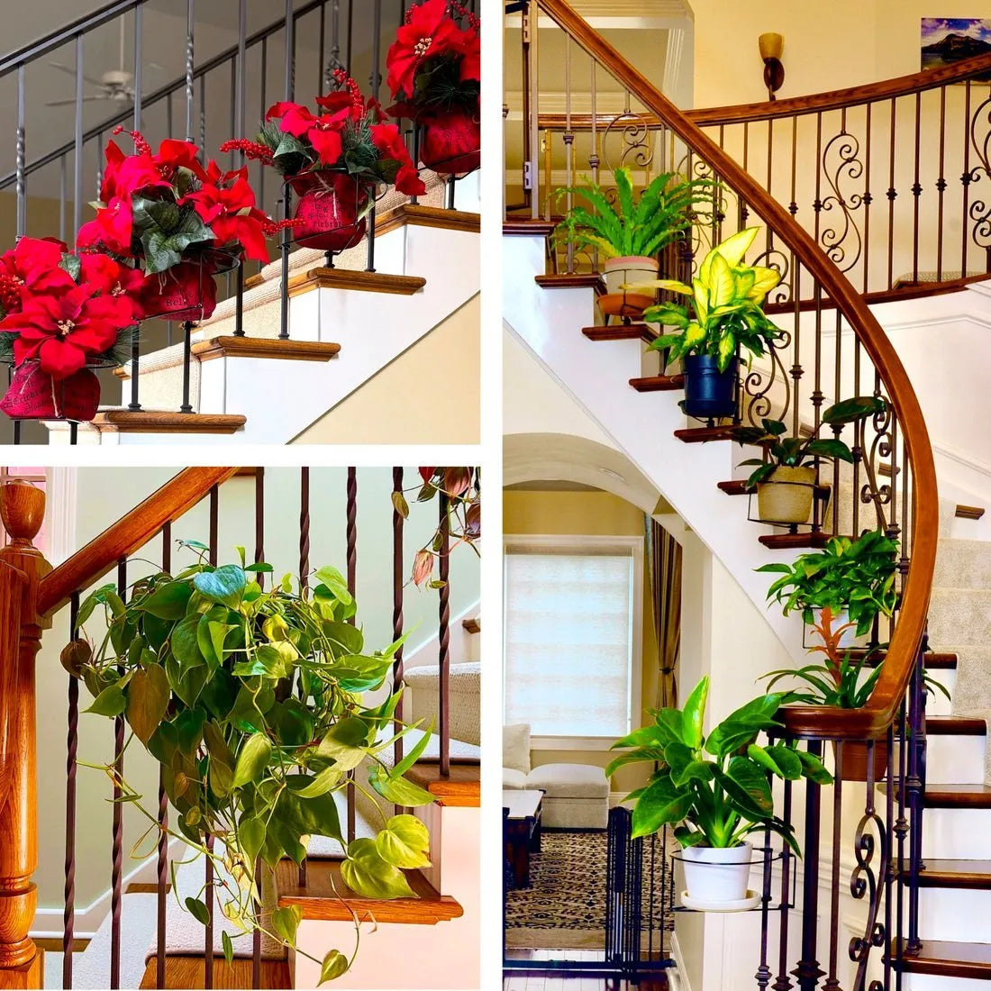 🔥💞LAST DAY 50% OFF ✨Floating Railing Planter - Plant Clip
