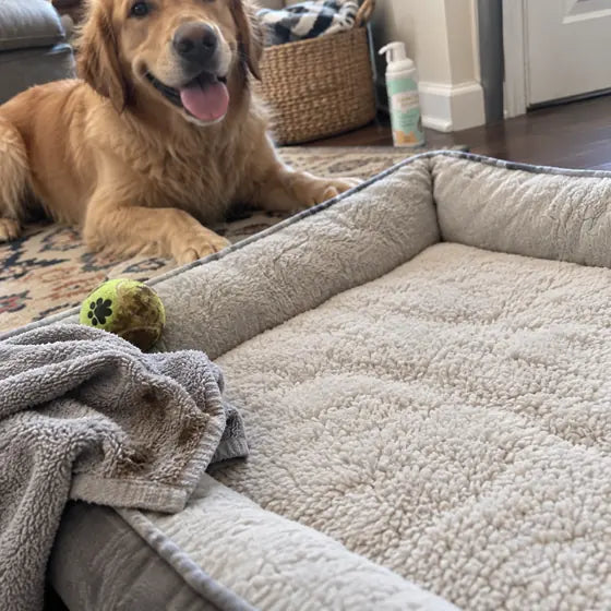 Dog bed cleaned after muddy ball and towel stains